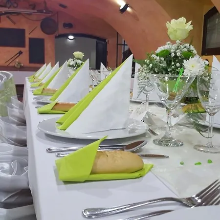 Hotell Zamecky Zlaty Orel Hranice (Olomouc)