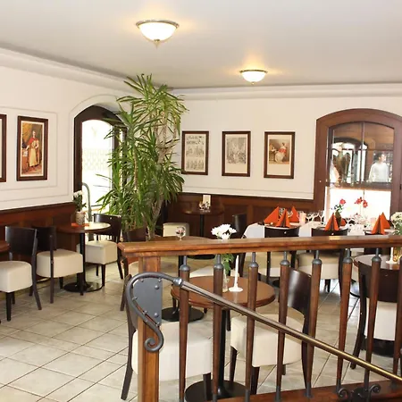 Hotell Zamecky Zlaty Orel Hranice (Olomouc)