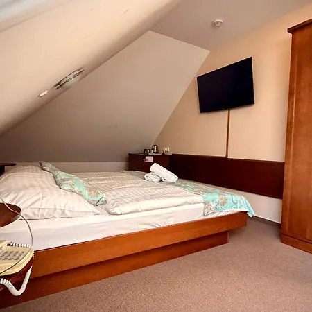 Zámecký Zlatý Orel 3* Hranice (Olomouc)