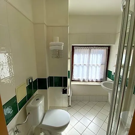 ホテル Zamecky Zlaty Orel 3*