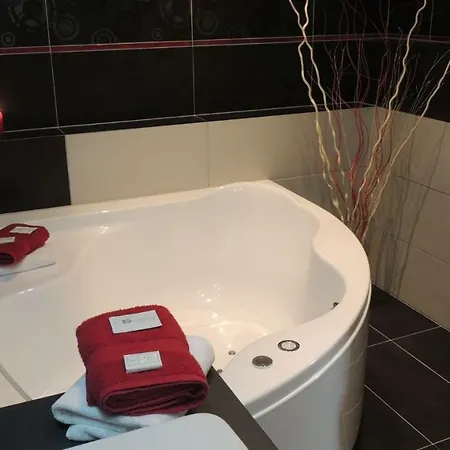 Hotel Zamecky Zlaty Orel Hranice (Olomouc)