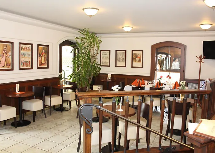 Hotel Zamecky Zlaty Orel Hranice (Olomouc)