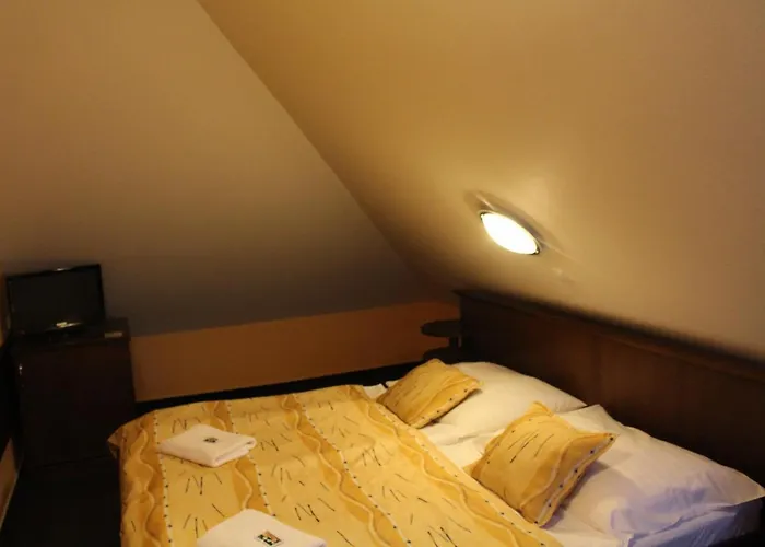 Hotel Zamecky Zlaty Orel 3*